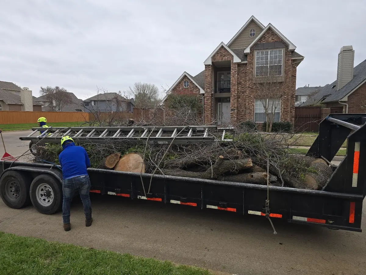 Expert Tree Pest Control with proper safety equipment in Durham
